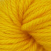 EstelleChunky - 315 Sunflower.jpg